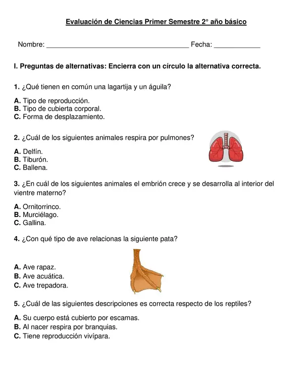 Evaluación Primer Semestre Ciencias Naturales 2° año Básico.