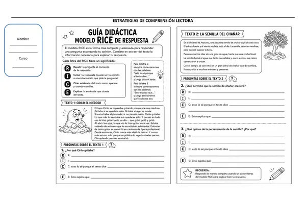 MODELO RICE