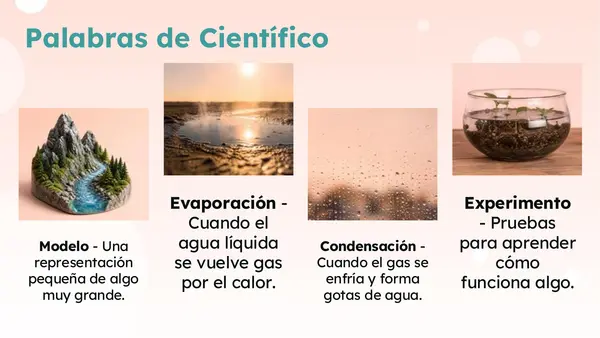 Clase 4 Lección 6 Unidad 3 "Como circula el agua" 2° Básico