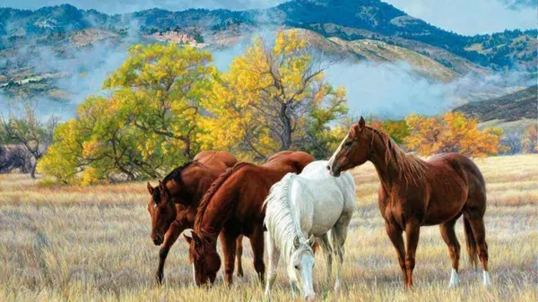 DESCRIPCION DE IMAGENES DE ANIMALES