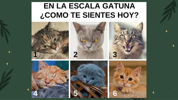Contextualización Edipo rey (actualizado)