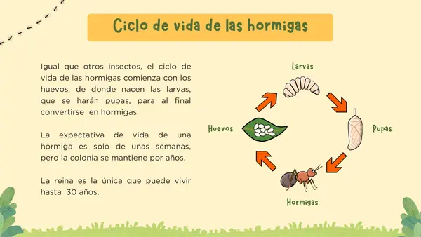 Presentación PPT Aprendamos de las hormigas animales No Print