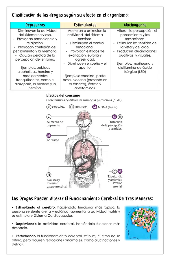 Guía - Clasificación de las drogas