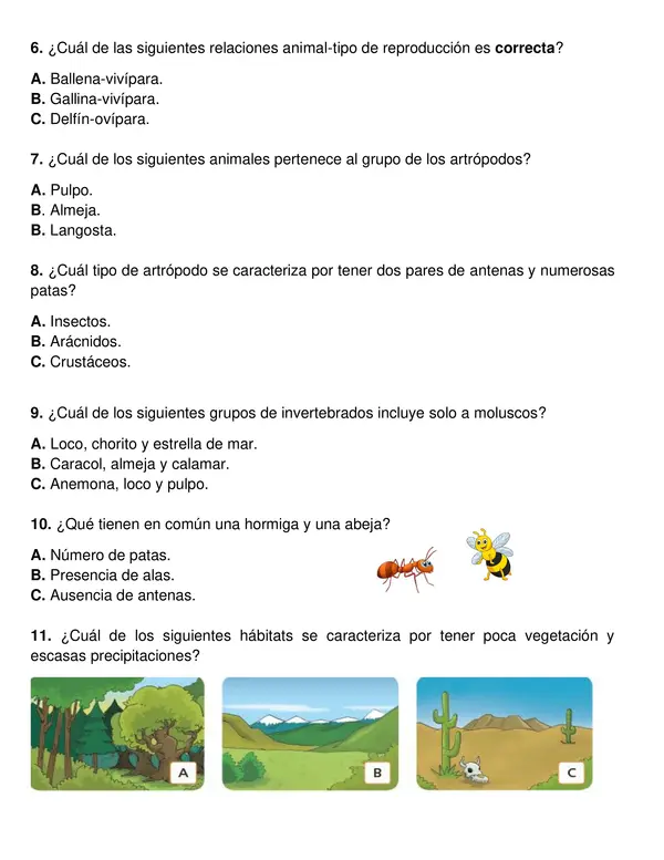 Evaluación Primer Semestre Ciencias Naturales 2° año Básico.