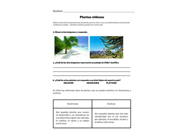 guia de trabajo tercero basico plantas chilenas autoctonas