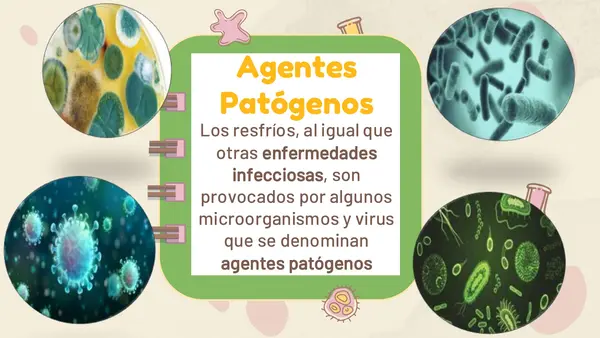 Contagio y prevención de agentes patógenos