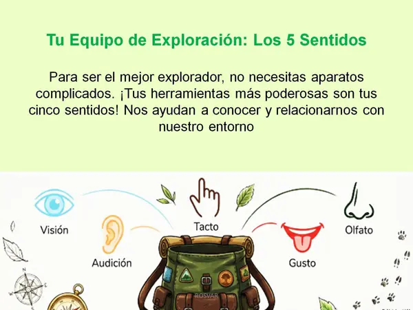 Ciencias Naturales - Los Sentidos - 1° y 2° Básico