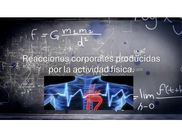 Reacciones corporales producidas por la actividad física.