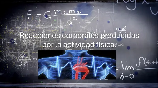 Reacciones corporales producidas por la actividad física.