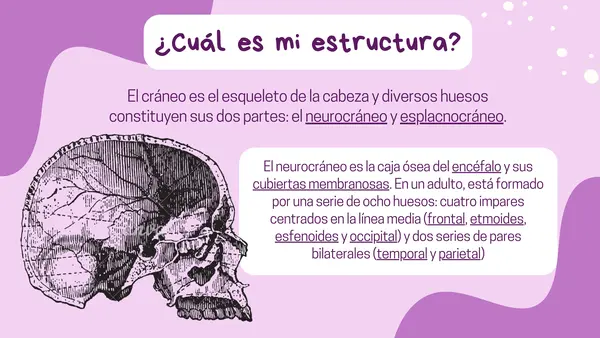 Sistema Oseo