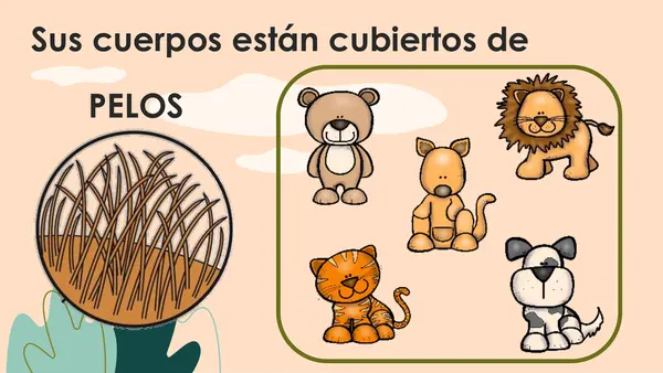 Características de los Animales