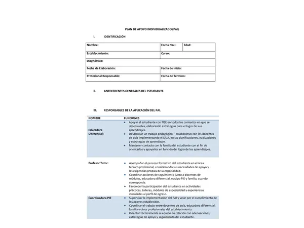 Plan de Apoyo Individualizado (PAI) – Formato Editable y Completo