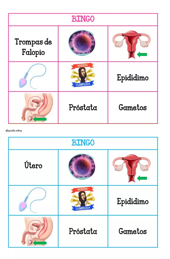 bingo sistema reproductor 
