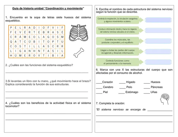 Guía de ciencias 4° año Unidad "Coordinación y movimiento"