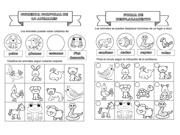características de los animales