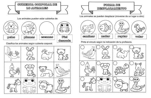 características de los animales