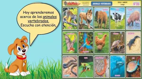 "PPT animales vertebrados"