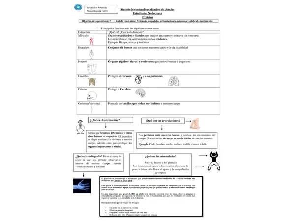 Síntesis de contenido evaluación ciencias 2° básico