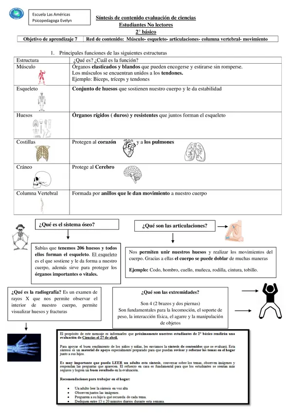 Síntesis de contenido evaluación ciencias 2° básico