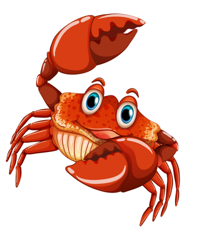 a99cf276ffe8c2aff0b5405f645451dc.png