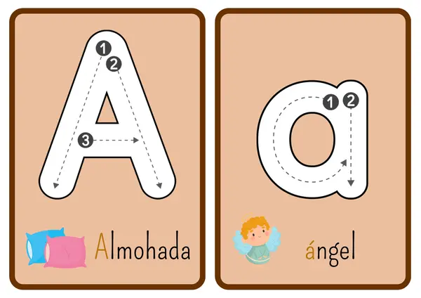 Tarjetas del abecedario (mayúscula y minúsculas)
