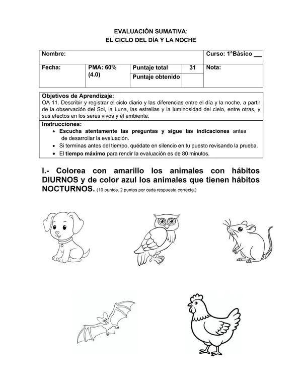 Evaluación "El ciclo del día y la noche"