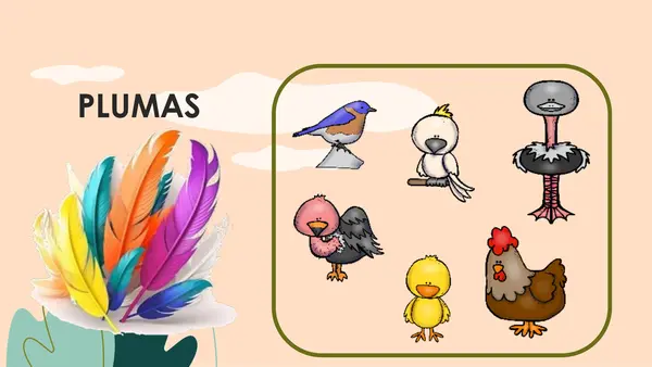 Características de los Animales