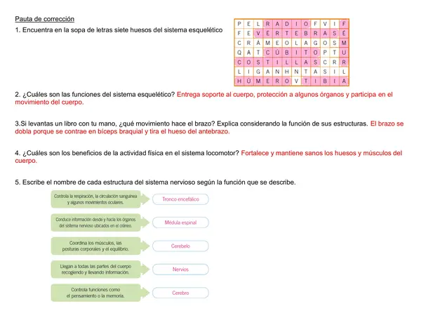 Guía de ciencias 4° año Unidad "Coordinación y movimiento"