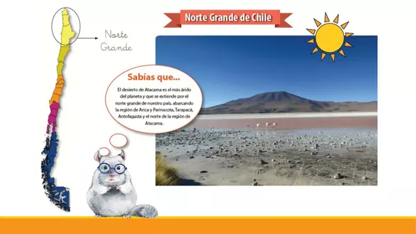 Zona Norte Grande de Chile 
