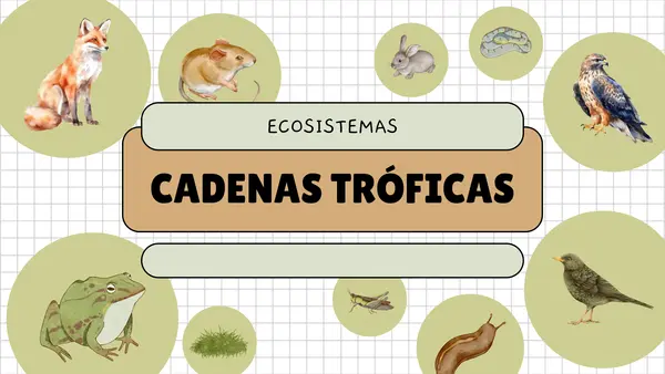 Cadenas tróficas 4° básico