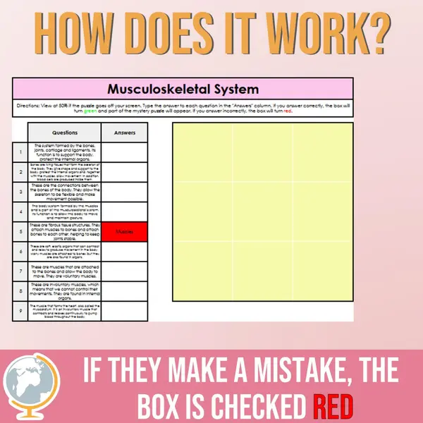 Musculoskeletal System Mystery Puzzle