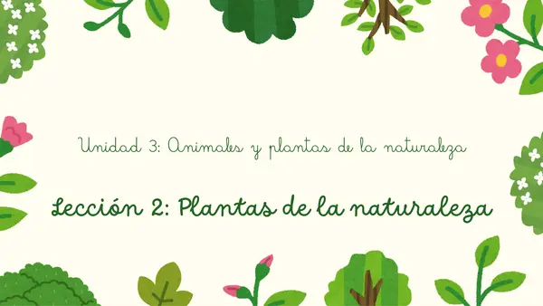 Clasificación de las plantas 