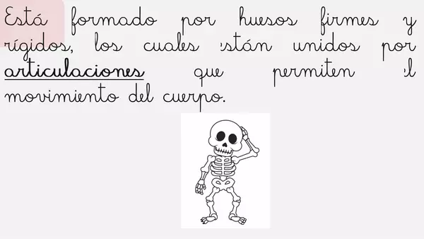 "El esqueleto"