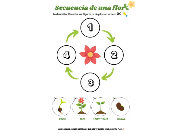 El viaje de la semillita: PPT + ficha de secuencia