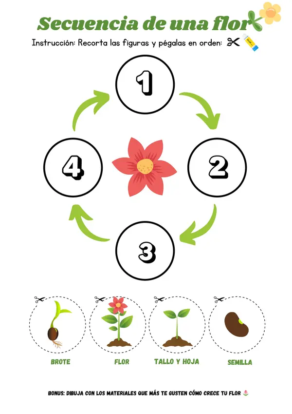 El viaje de la semillita: PPT + ficha de secuencia