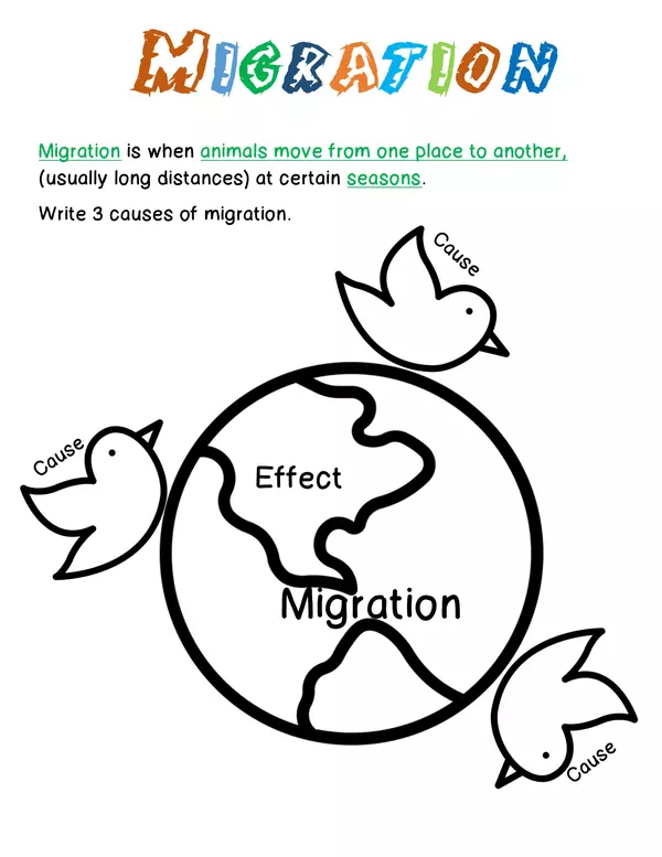 Migration Graphic Organizer