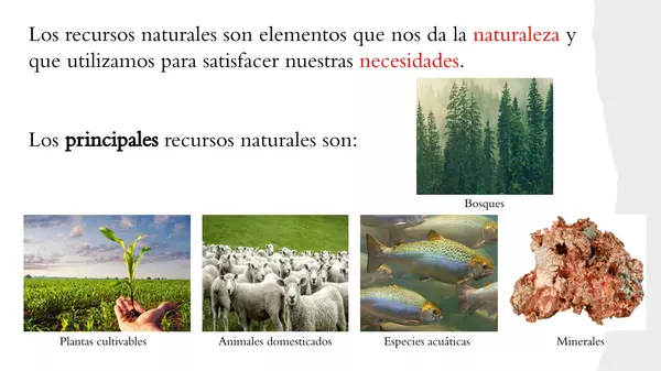 PowerPoint "Los recursos naturales"