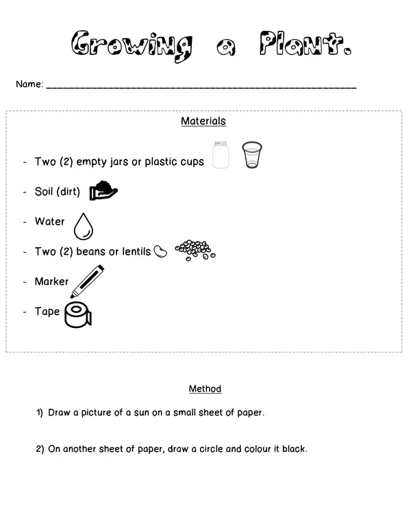 Growing a Plant Project