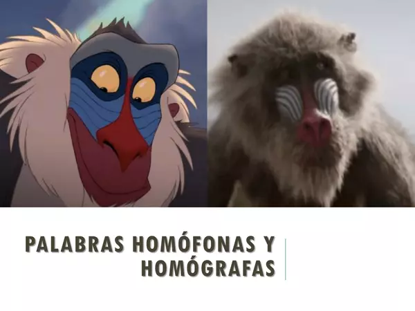 JUEGO DE PALABRAS: PALABRAS HOMÓFONAS Y HOMÓGRAFAS