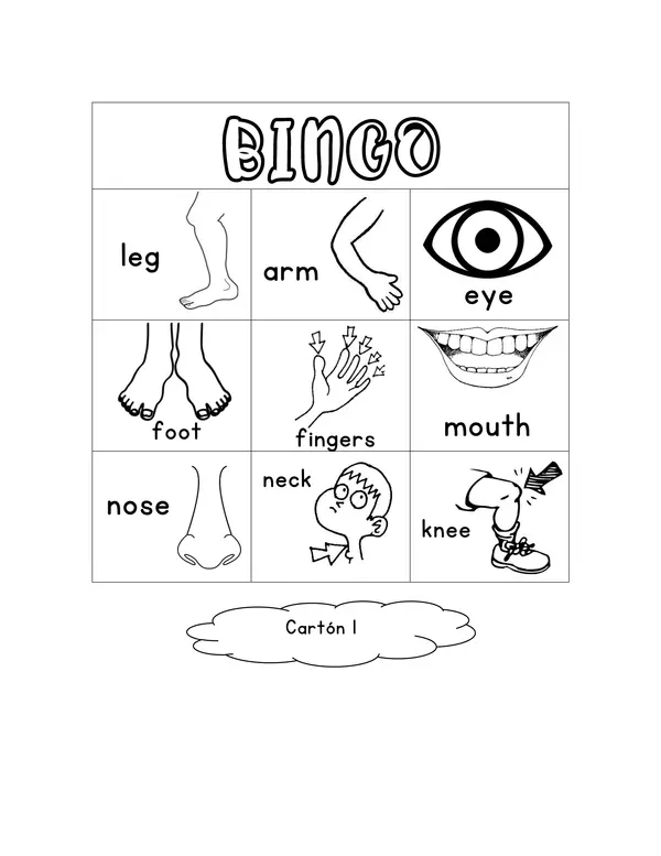 Body and face parts BINGO cards