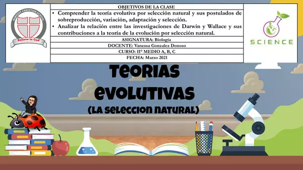 TEORIAS EVOLUTIVAS 