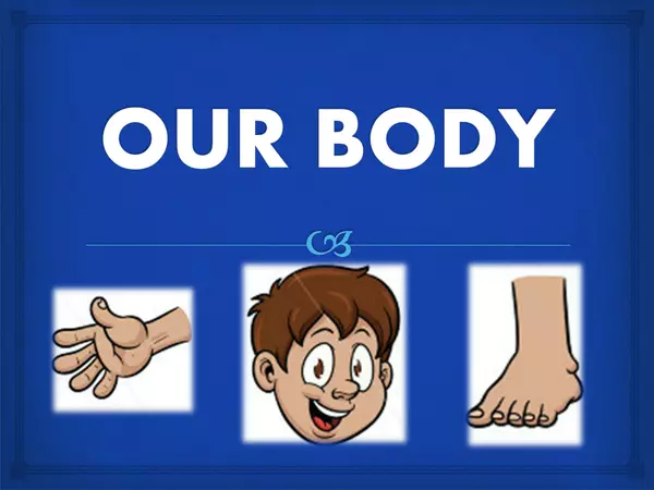 Our Body.