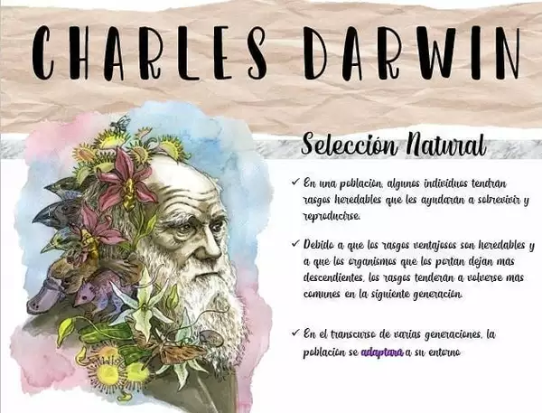 CHARLES DARWIN Y LA SELECCION NATURAL