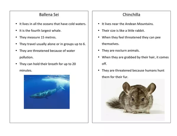 Endangered Animals Oral Presentation Information