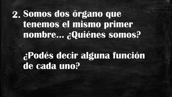 Juego: Sistema digestivo, circulatorio y respiratorio. | profe.social