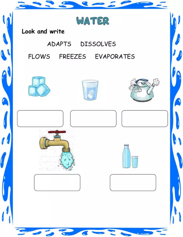 Worksheet Water Properties