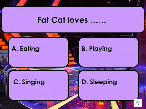 Questions Game: Fat Cat's Busy Day