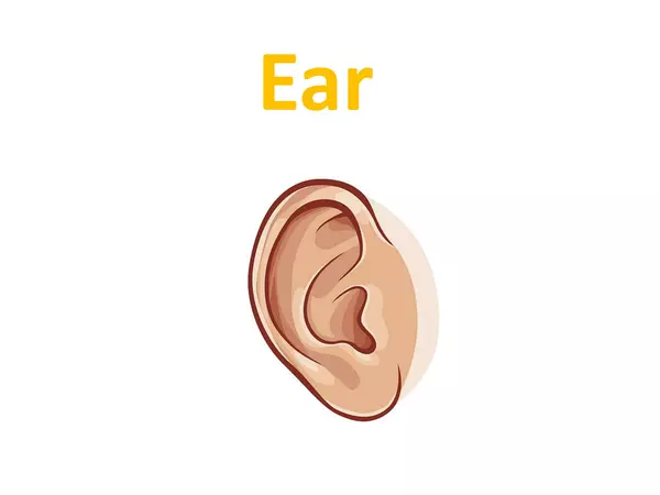 Phonics Sound "ear"