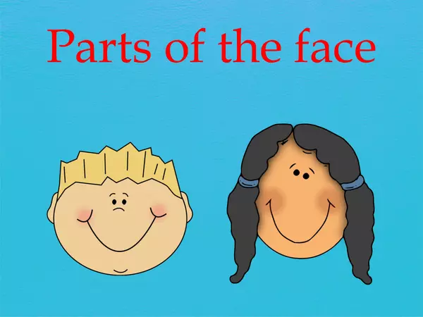Parts of the face.