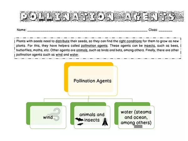 Pollination Agents Summary